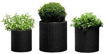 Набір кашпо Cylinder Planter Set 3 шт. графітовий Keter 7290106920453 7290106920453 фото