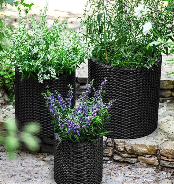 Набір кашпо Cylinder Planter Set 3 шт. графітовий Keter 7290106920453 7290106920453 фото