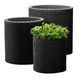 Набір кашпо Cylinder Planter Set 3 шт. графітовий Keter 7290106920453 7290106920453 фото 3