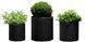 Набір кашпо Cylinder Planter Set 3 шт. графітовий Keter 7290106920453 7290106920453 фото 1