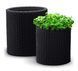 Набір кашпо Cylinder Planter Set 3 шт. графітовий Keter 7290106920453 7290106920453 фото 2