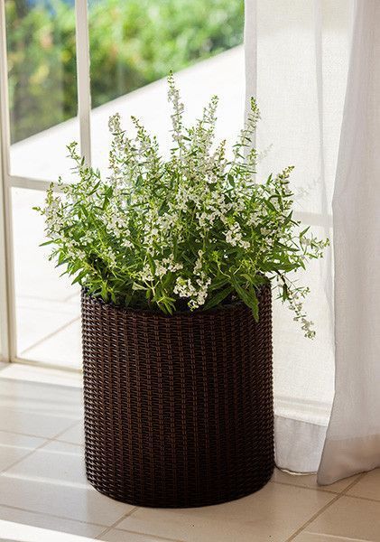 Кашпо Cylinder Planter Medium 18 л коричневе Keter 7290103664190 7290103664190 фото