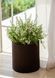 Кашпо Cylinder Planter Small 7 л коричневое Keter 7290103664183 7290103664183 фото 2