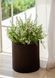 Кашпо Cylinder Planter Small 7 л коричневое Keter 7290103664183 7290103664183 фото 3