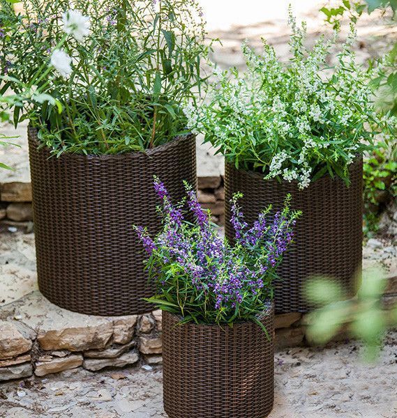 Кашпо Cylinder Planter Small 7 л коричневое Keter 7290103664183 7290103664183 фото