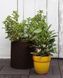 Кашпо Cylinder Planter Small 7 л коричневое Keter 7290103664183 7290103664183 фото 4