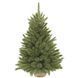 Искусственная сосна Forest Frosted с эффектом инея 90 см Triumph Tree 8717669551881 8717669551881 фото 1