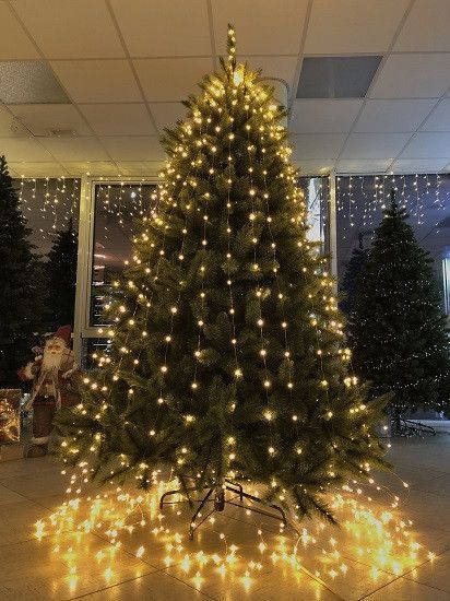 Искусственная сосна Forest с эффектом инея 155 см Triumph Tree 0756770520322 0756770520322 фото