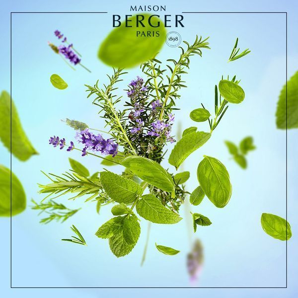 115081 фото