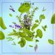 115081 фото 2